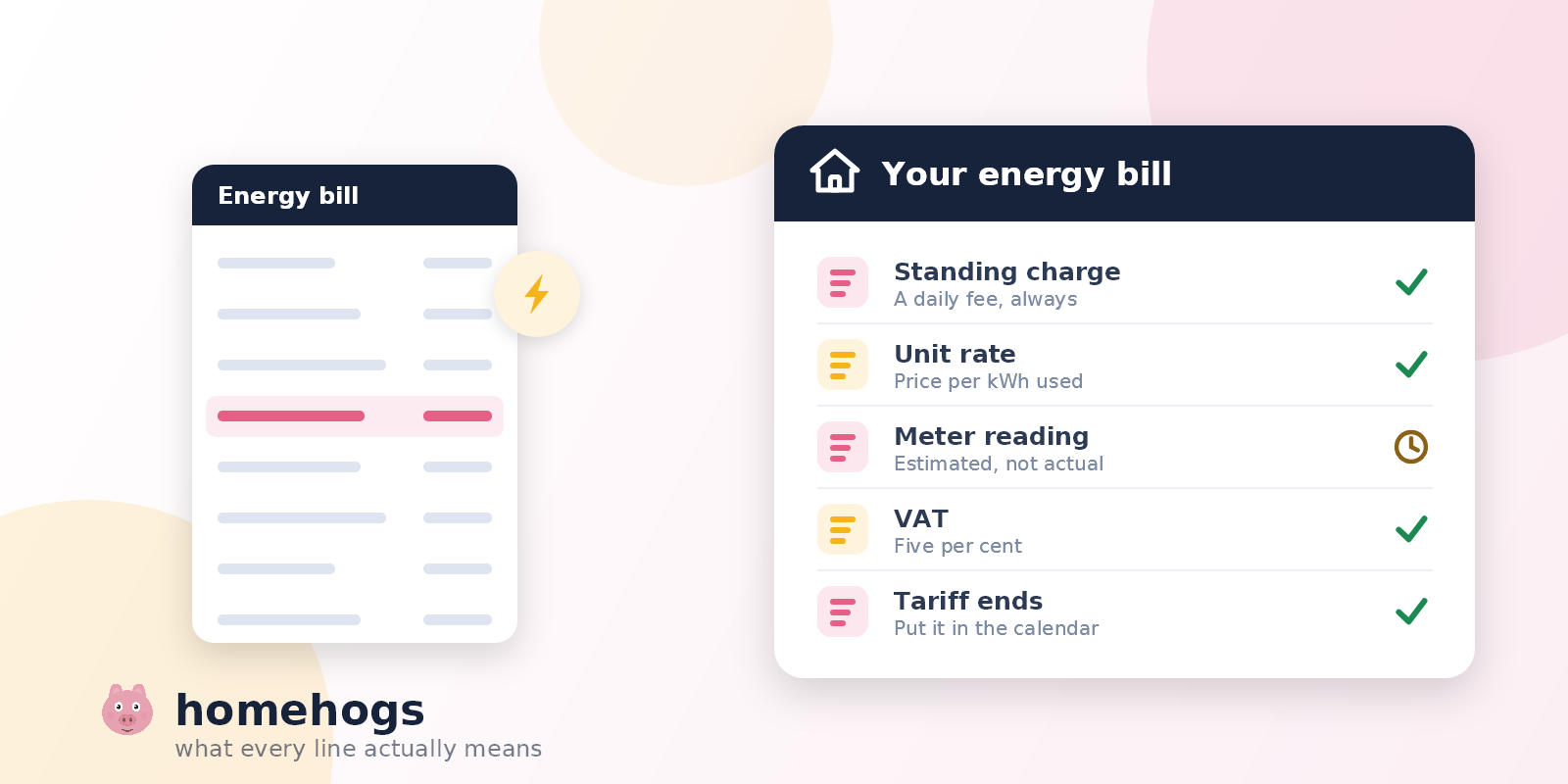 An energy bill with one line picked out in pink, beside a panel explaining the standing charge, the unit rate, the meter reading, VAT and the tariff end date.